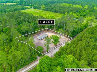 2465 Piney Grove Rd, Blackshear, GA 31516