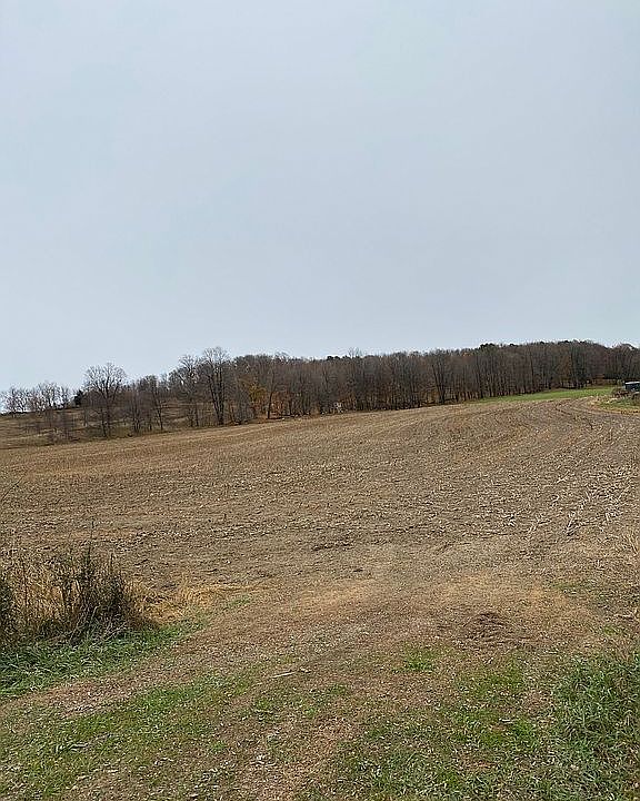 2nd image of Hillview Rd