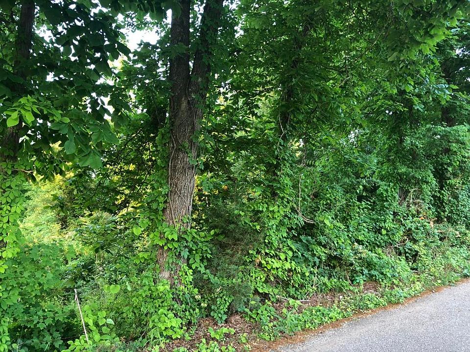 2nd image of High Knob Rd