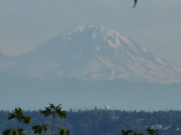 5th image of 7820 79th Ave SE