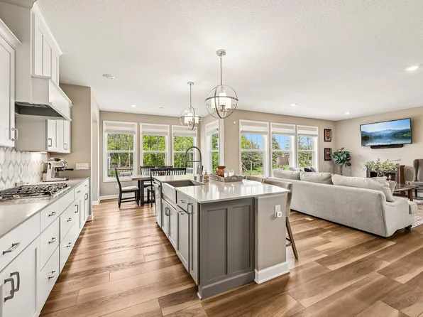 19318 Goldenrod Trl, Hamel, MN 55340