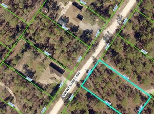 12368 Snowy Egret Ave, Weeki Wachee, FL 34614