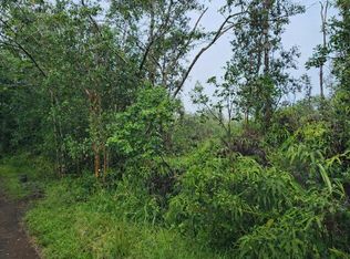 Road 2 LOT 2798, Mountain View, HI 96771