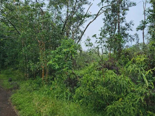 Road 2 Lot 2798, Mountain View, HI 96771
