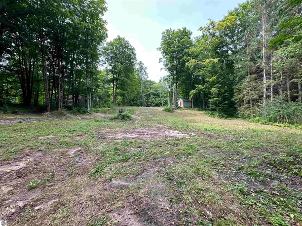 6218 Lavely Ln, Mancelona, MI 49659