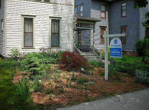 Wildflowers in Front 