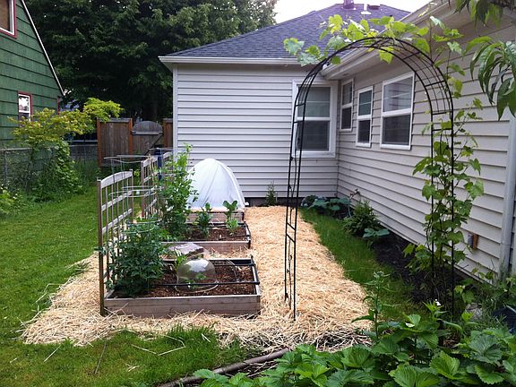 Raised Beds (2012)