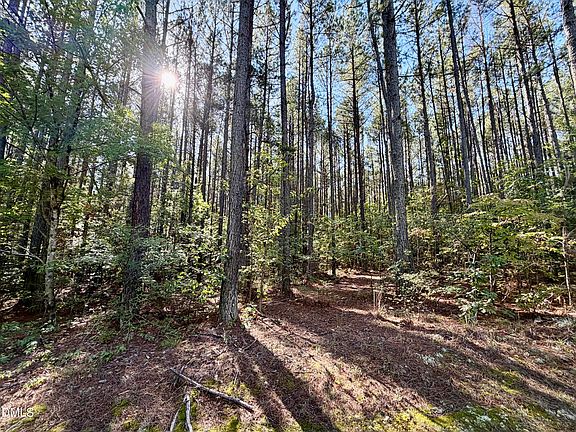5th image of LOT 1 Shady Oak Rd Lot 1