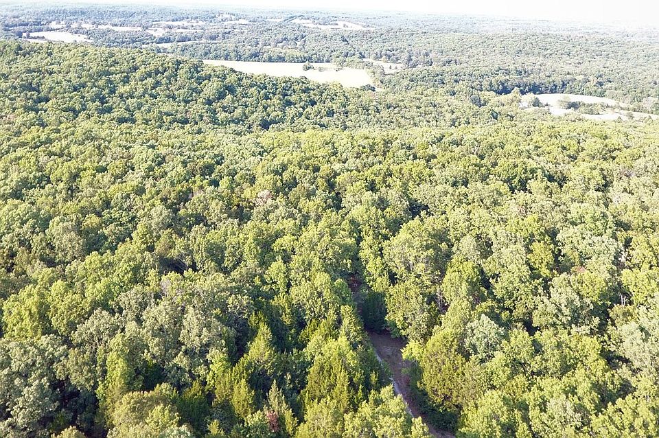 1st image of 33725 County Road 6550