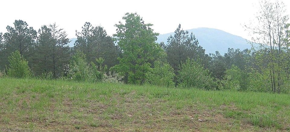 1st image of 216 Scenic View Dr
