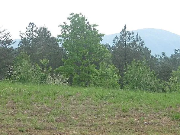 216 Scenic View Dr, Benton, TN 37307