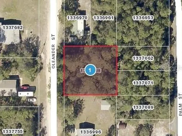 Oleander St Lot 9, Paisley, FL 32767