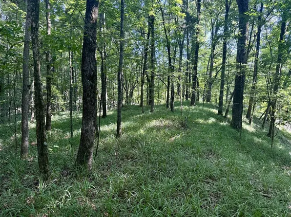 0 Hardy Rd, Grenada, MS 38901