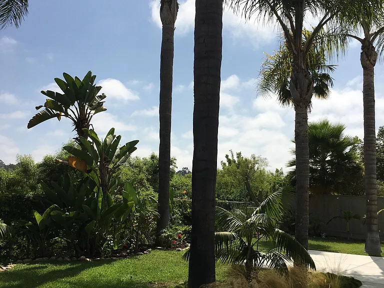 3253 Avenida Anacapa — Photo 10