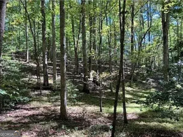 0 Goldmine Dr, Ellijay, GA 30536