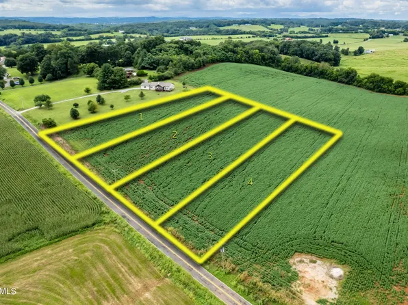 2 Baileys Rd Lot 2, Greenback, TN 37742