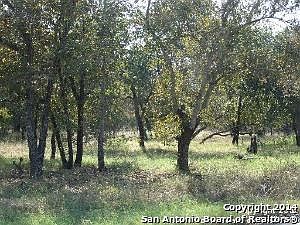 4th image of 160 County Road 7812