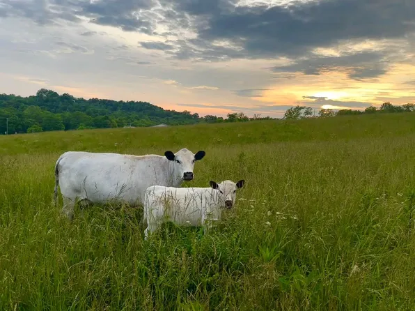 154B Double Culvert Rd, Georgetown, KY 40324