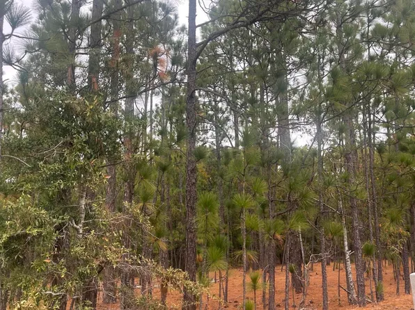 Tbd Boyd Lake Road, Hamlet, NC 28345