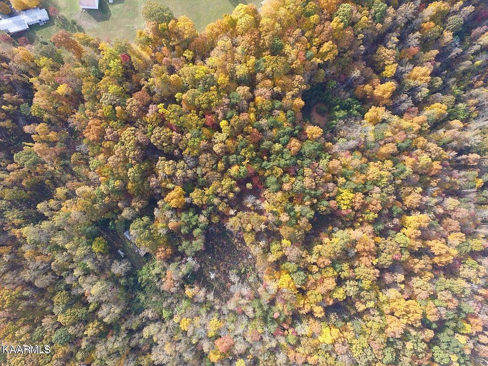 2nd image of 8735 Conner Rd