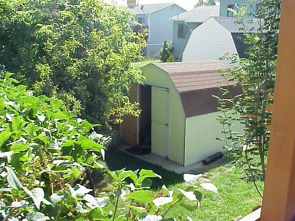 Back yard's shed