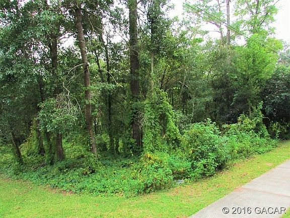4th image of 15909 NW 141st St
