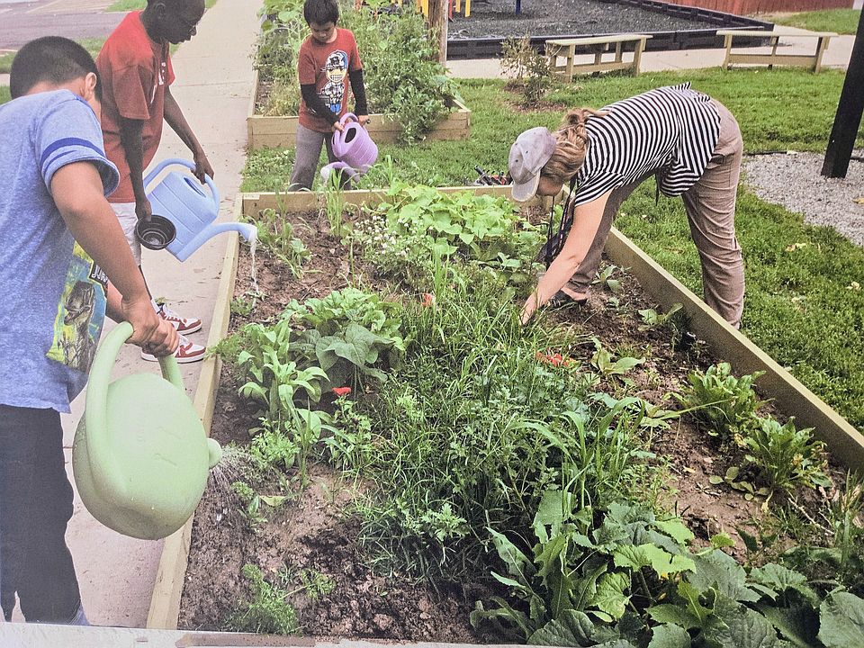 Collaborative: A dynamic partnership that effectively engages community residents and local organizations.