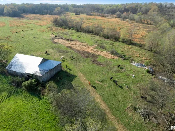 60 Harris Ln, Brookport, IL 62910