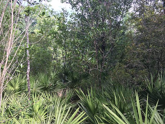 4th image of 00 BLACK CREEK TRACT