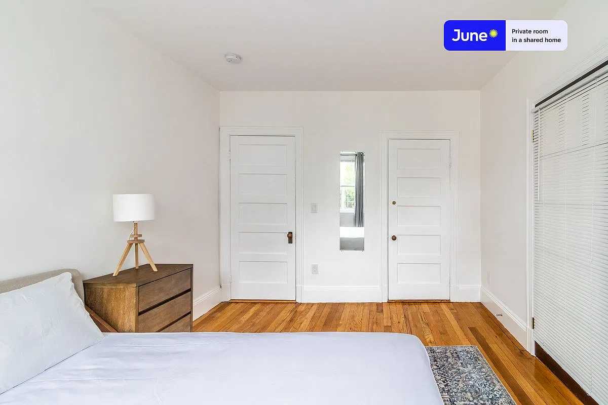 36 Newcastle Rd — Photo 3