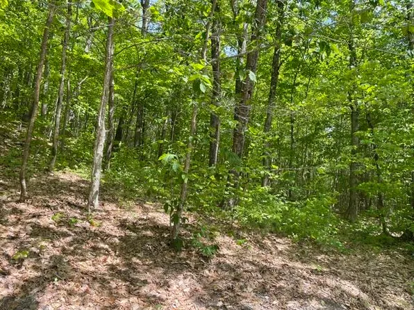 0 Edes Falls Road, Harrison, ME 04040