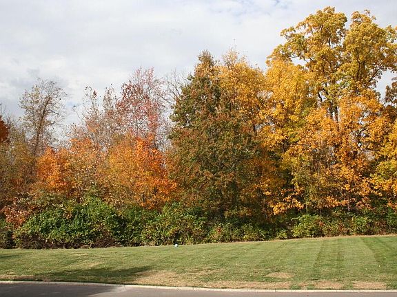 2nd image of 8209 Catalpa Ridge Dr