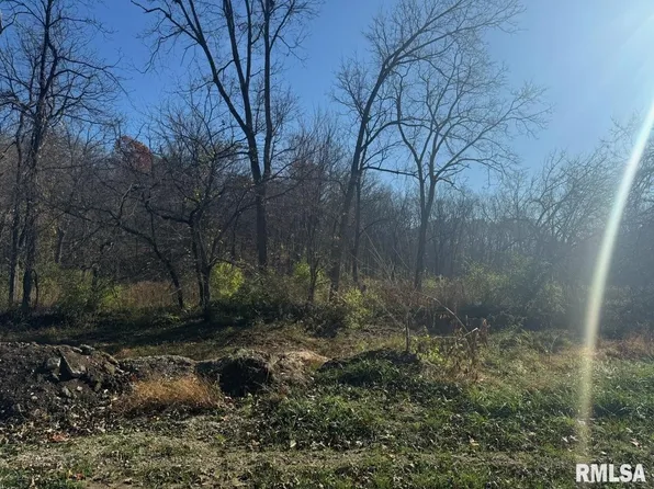 E Buckeye Church Rd, Smithfield, IL 61477