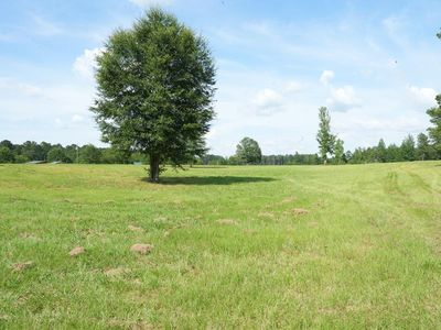 Highway 583, Jayess, MS, 39641