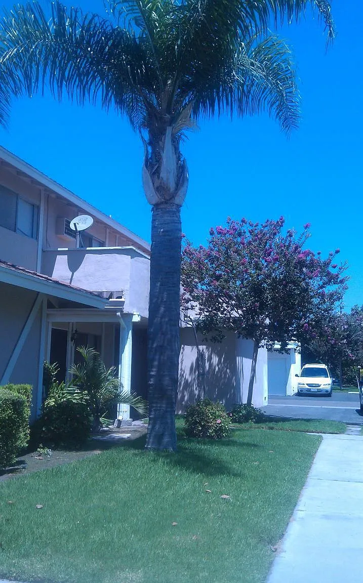 2 bed, 850 sqft, $2,750 — Photo 4