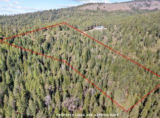 12703 S Alpine Fern Ln, Rockford, WA 99030