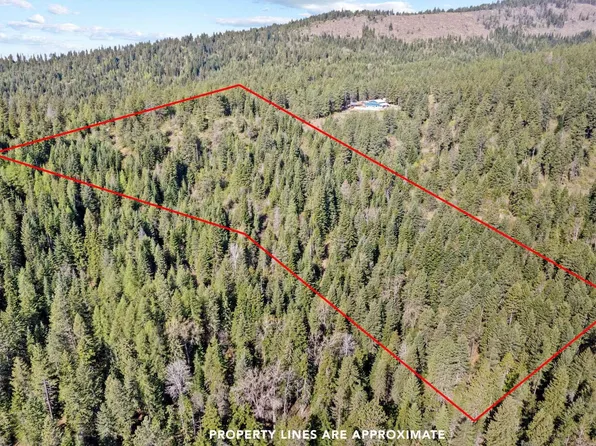 12703 S Alpine Fern Ln, Rockford, WA 99030