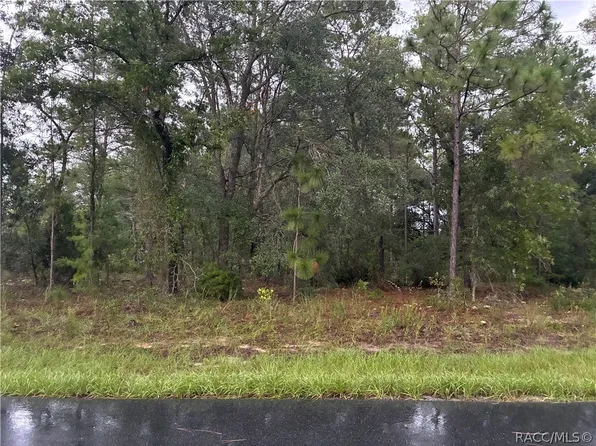 7351 N Waycross Way, Citrus Springs, FL 34433