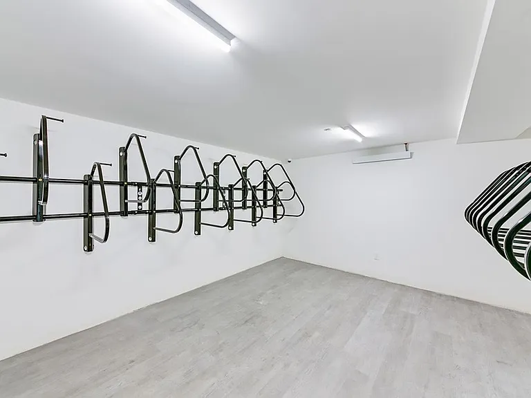 Pax Futura — Photo 17