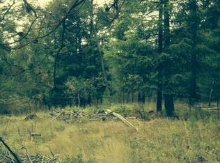 0 Pines Rd, Newport, WA 99156