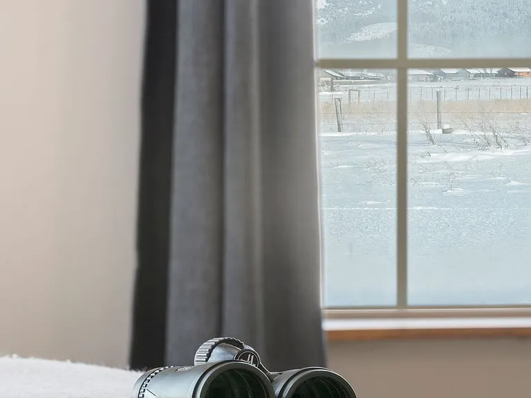 Window View