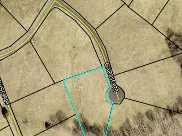46 Stillwater Blvd, Russell Springs, KY 42642