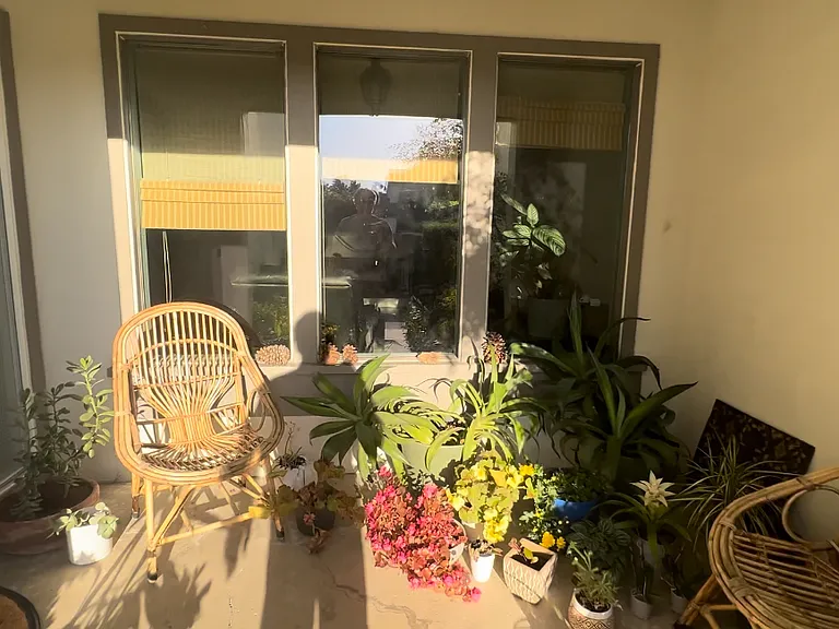 Rockrose Way — Photo 9