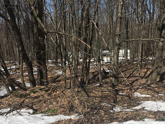 4th image of Onteora Dr