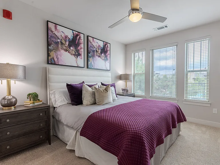 Modern Bedroom With Carpet