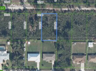 336 Tanager Ave, Sebring, FL 33872