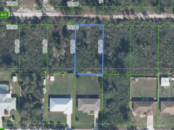 336 Tanager Ave, Sebring, FL 33872