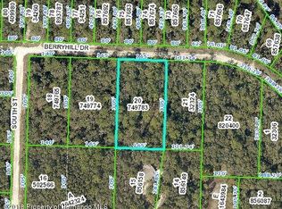 34305 Berryhill Dr, Webster, FL 33597