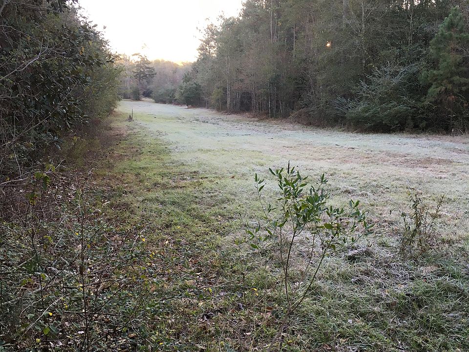 2nd image of 27301 Jimi Brumfield Rd