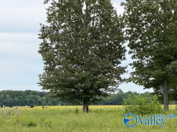 LOT 1 Neely Rd, Athens, AL 35611